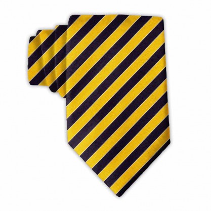 Scholastic Navy/Gold - Neckties