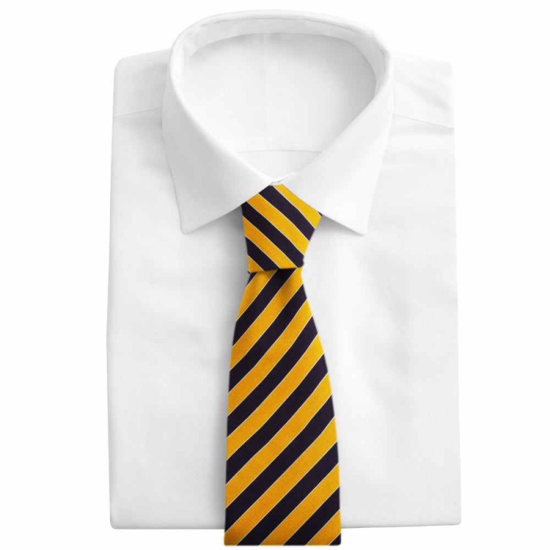 Scholastic Navy/Gold - Neckties
